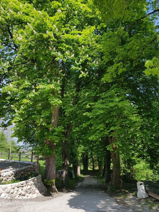 Villa Im Wald Rosshaupten Bagian luar foto